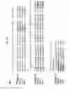 Fig. 07 - Mammalian cell-based immunoglobulin display libraries