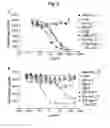 Fig. 09 - Mammalian cell-based immunoglobulin display libraries