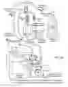 Fig. 06 - METHODS AND MATERIALS FOR ISOLATING ISOGENIC ISLET CELLS