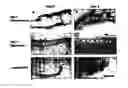 Fig. 01 - Methods of tissue generation and tissue engineered compositions