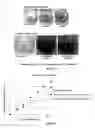 Fig. 06 - MEDIUM FOR MAMMALIAN SOMATIC CELLS AND ADDITIVE THEREFOR