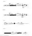 Fig. 02 - Methods and materials for the reproducible generation of high producer cell lines for recombinant proteins