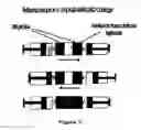 Fig. 06 - Depletion of plasma proteins