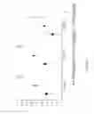 Fig. 03 - METHODS AND KITS FOR DETERMINING THE OCCURRENCE OF A LIVER DISEASE IN A SUBJECT