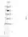 Fig. 02 - SYSTEM FOR DETECTING POLYNUCLEOTIDES