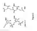 Fig. 03 - SYSTEM FOR DETECTING POLYNUCLEOTIDES