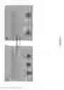 Fig. 05 - SYSTEM FOR DETECTING POLYNUCLEOTIDES