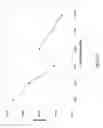 Fig. 29 - SYSTEM FOR DETECTING POLYNUCLEOTIDES