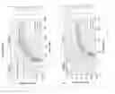 Fig. 16 - Polymer-coated substrates for binding biomolecules and methods of making and using Thereof