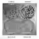 Fig. 01 - Tumor suppressor gene
