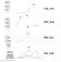 Fig. 22 - Systems and methods for delivery of fluid-containing process material combinations
