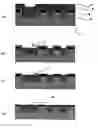 Fig. 01 - POLISHING COMPOSITION AND POLISHING METHOD
