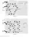 Fig. 15 - CIRCUIT DESIGN ASSEMBLIES