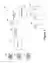 Fig. 04 - INFORMATION DEVICE