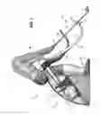 Fig. 02 - Golf swing training device