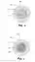 Fig. 04 - Golf balls having layers made from rubber compositions containing nucleating agents
