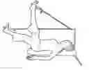 Fig. 01 - Portable multipurpose whole body exercise device