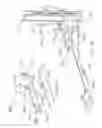 Fig. 12 - Method of using an exercise device having an adjustable incline
