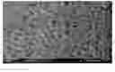 Fig. 01 - Lithium silicate materials