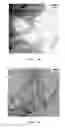 Fig. 02 - Titanate Nanostructure and Method for Preparation Thereof