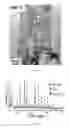 Fig. 04 - Titanate Nanostructure and Method for Preparation Thereof