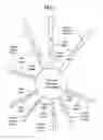 Fig. 08 - Methods of amplifying and sequencing nucleic acids
