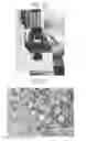 Fig. 43 - Methods of amplifying and sequencing nucleic acids