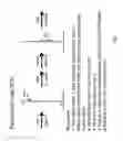 Fig. 02 - Method for sequencing a polynucleotide template