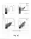 Fig. 10 - Multi-chain eukaryotic display vectors and uses thereof