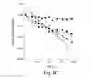 Fig. 12 - Multi-chain eukaryotic display vectors and uses thereof