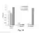 Fig. 19 - Multi-chain eukaryotic display vectors and uses thereof