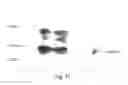 Fig. 22 - Multi-chain eukaryotic display vectors and uses thereof