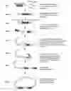 Fig. 01 - Methods for creating and identifying functional RNA interference elements
