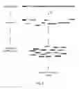 Fig. 04 - Methods for creating and identifying functional RNA interference elements