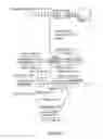 Fig. 08 - Methods for creating and identifying functional RNA interference elements