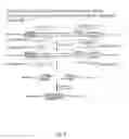Fig. 09 - Methods for creating and identifying functional RNA interference elements