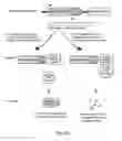 Fig. 28 - Methods for creating and identifying functional RNA interference elements