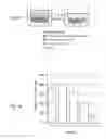 Fig. 30 - Methods for creating and identifying functional RNA interference elements
