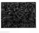 Fig. 09 - HIGH THROUGHPUT SCREENING METHOD AND APPARATUS FOR ANALYSING INTERACTIONS BETWEEN SURFACES WITH DIFFERENT TOPOGRAPHY AND THE ENVIRONMENT