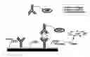 Fig. 01 - Nonseparation assay methods