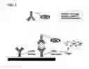 Fig. 02 - Nonseparation assay methods