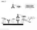 Fig. 03 - Nonseparation assay methods