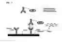 Fig. 04 - Nonseparation assay methods