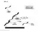 Fig. 07 - Nonseparation assay methods