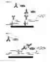 Fig. 09 - Nonseparation assay methods