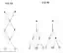 Fig. 07 - Methods for genotyping selected polymorphism