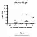 Fig. 04 - Subtilase variants having altered immunogenicity