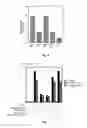 Fig. 07 - Cripto antagonism of activin and TGF-b signaling