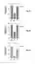 Fig. 09 - Cripto antagonism of activin and TGF-b signaling