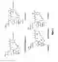 Fig. 02 - Crystalline forms of rapamycin analogs
